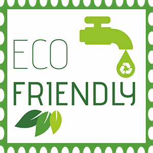 Eco Friendly Car Wash
